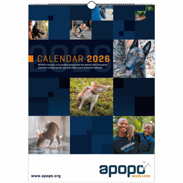 bee7b727-dc07-412d-b93b-07e55b7b9f5e