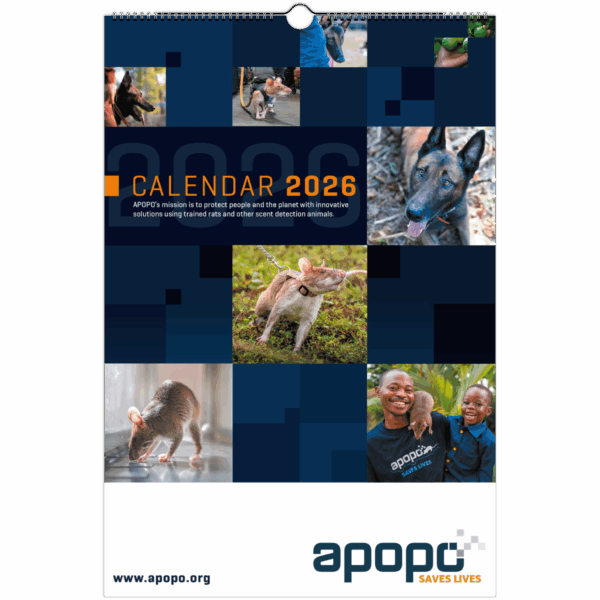 de34c168-11e1-48d6-936c-088bfa108891