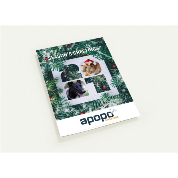 APOPO Holiday Cards - Pack of 10 Greeting Cards with Envelopes (AVAILABLE IN EUROPE/UK & REST OF THE WORLD EXCEPT USA & CANADA)